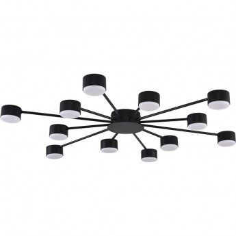 Люстра LUMION TORINA 8344/12C