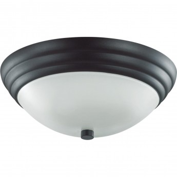 Настенно-потолочный светильник LUMION VINTAGE KAYLA 5263/2C