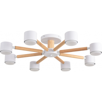 Светильник потолочный LUMION COMFI VUDI 8306/8C